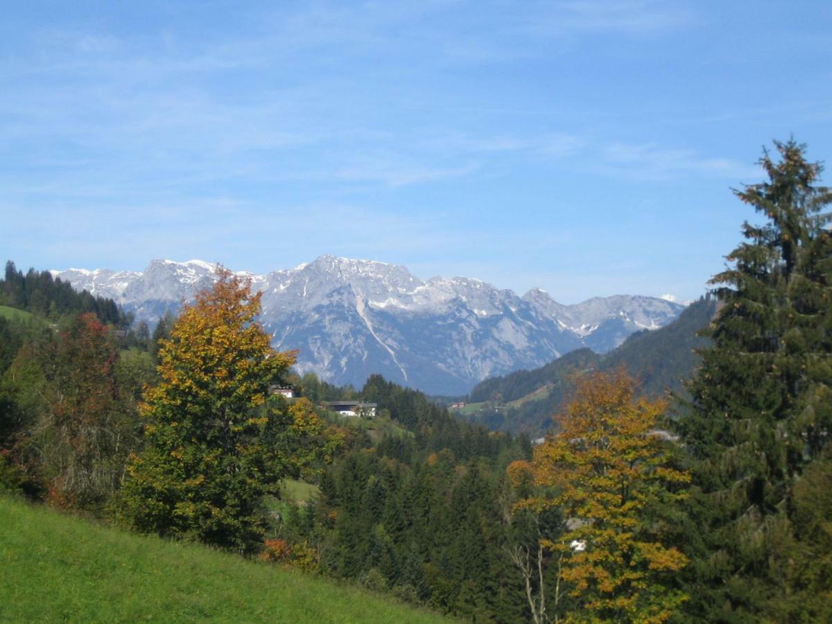 Villa Vordersattlegghofhütte Hüttau Exterior foto